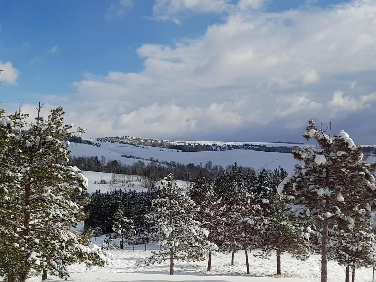 Ruza Vetrova Vila Divčibare Exterior foto